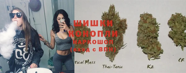 СК Кукмор