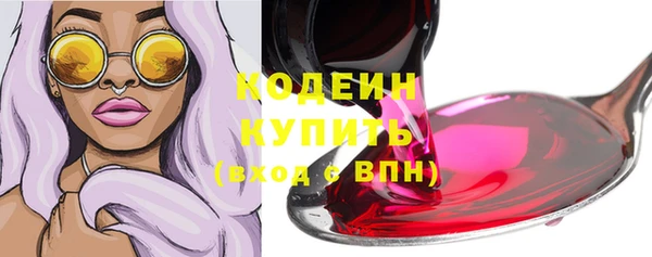 СК Кукмор